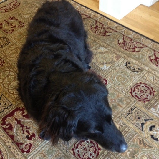 Onancock, VA Map & Directions MapQuest