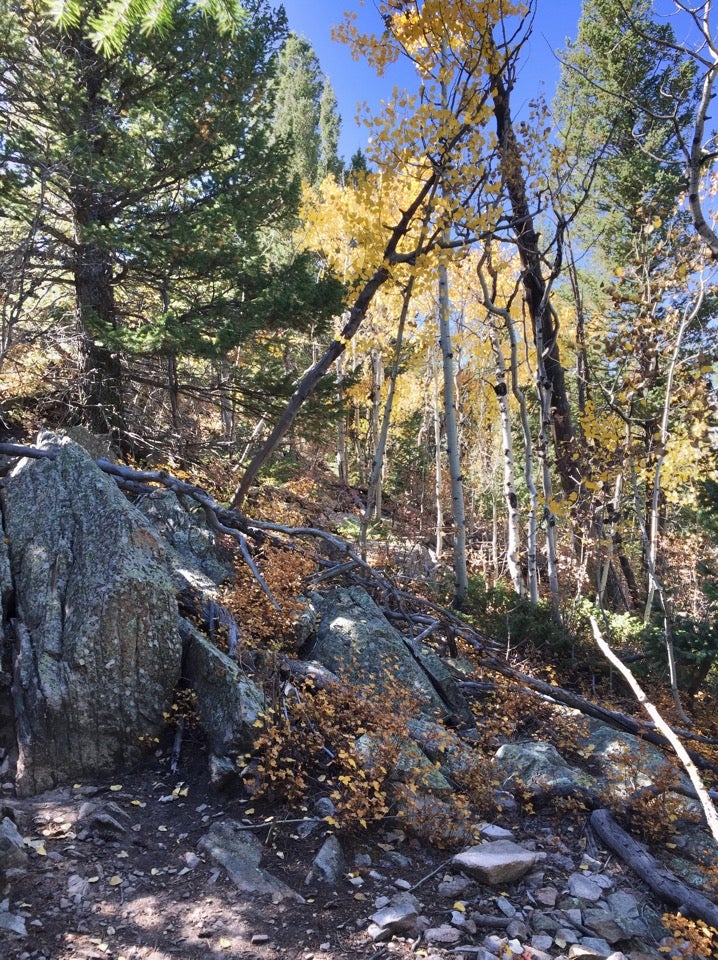 Golden Gate Canyon State Park, 3901 Highway 46, Golden, CO MapQuest