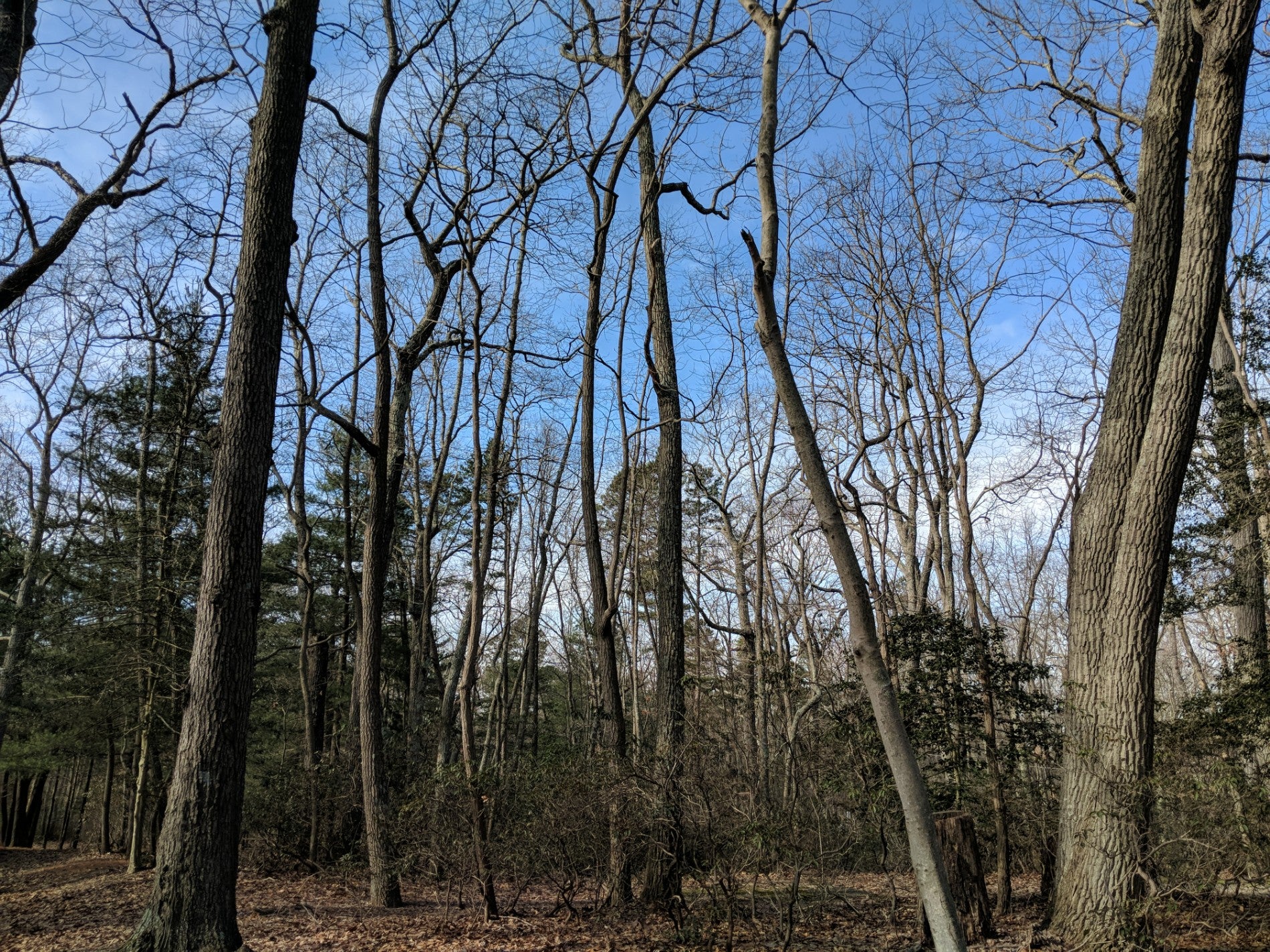 Berlin, NJ Map & Directions MapQuest