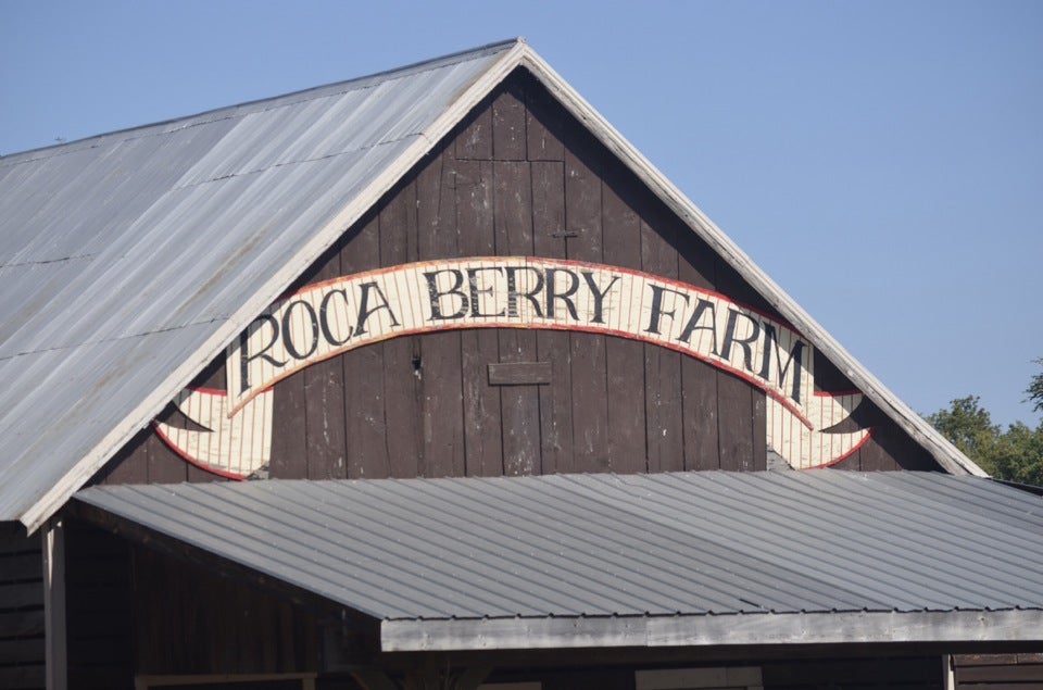 Roca Pumpkin Patch, 16531 S 38th St, Roca, NE MapQuest