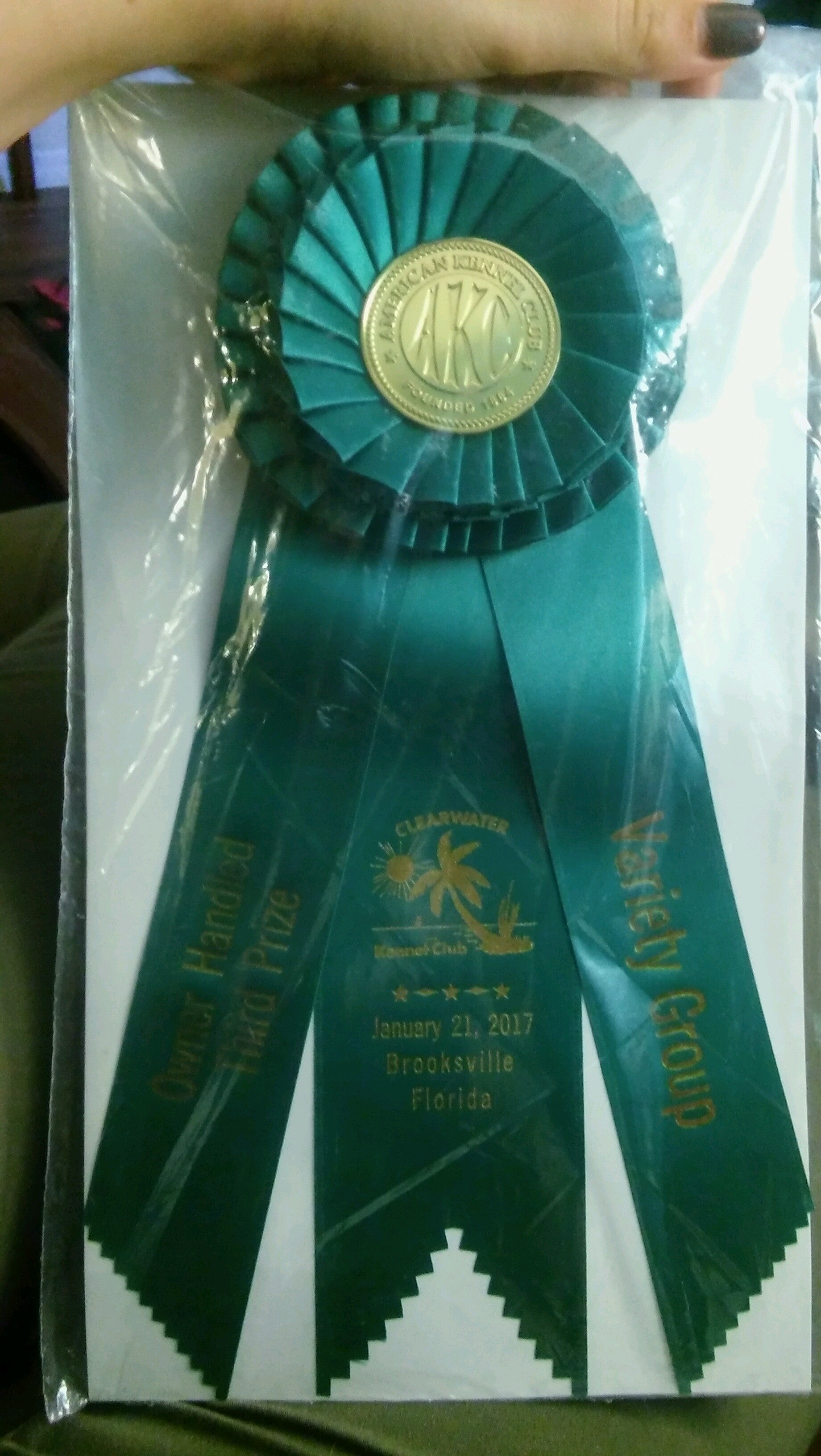 Florida classic park 5360 lockhart rd brooksville fl parks mapquest
