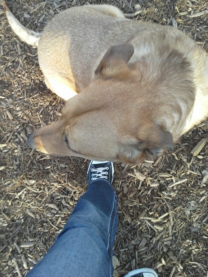 Fossil Creek Dog Park, Fort Collins, CO, Parks MapQuest
