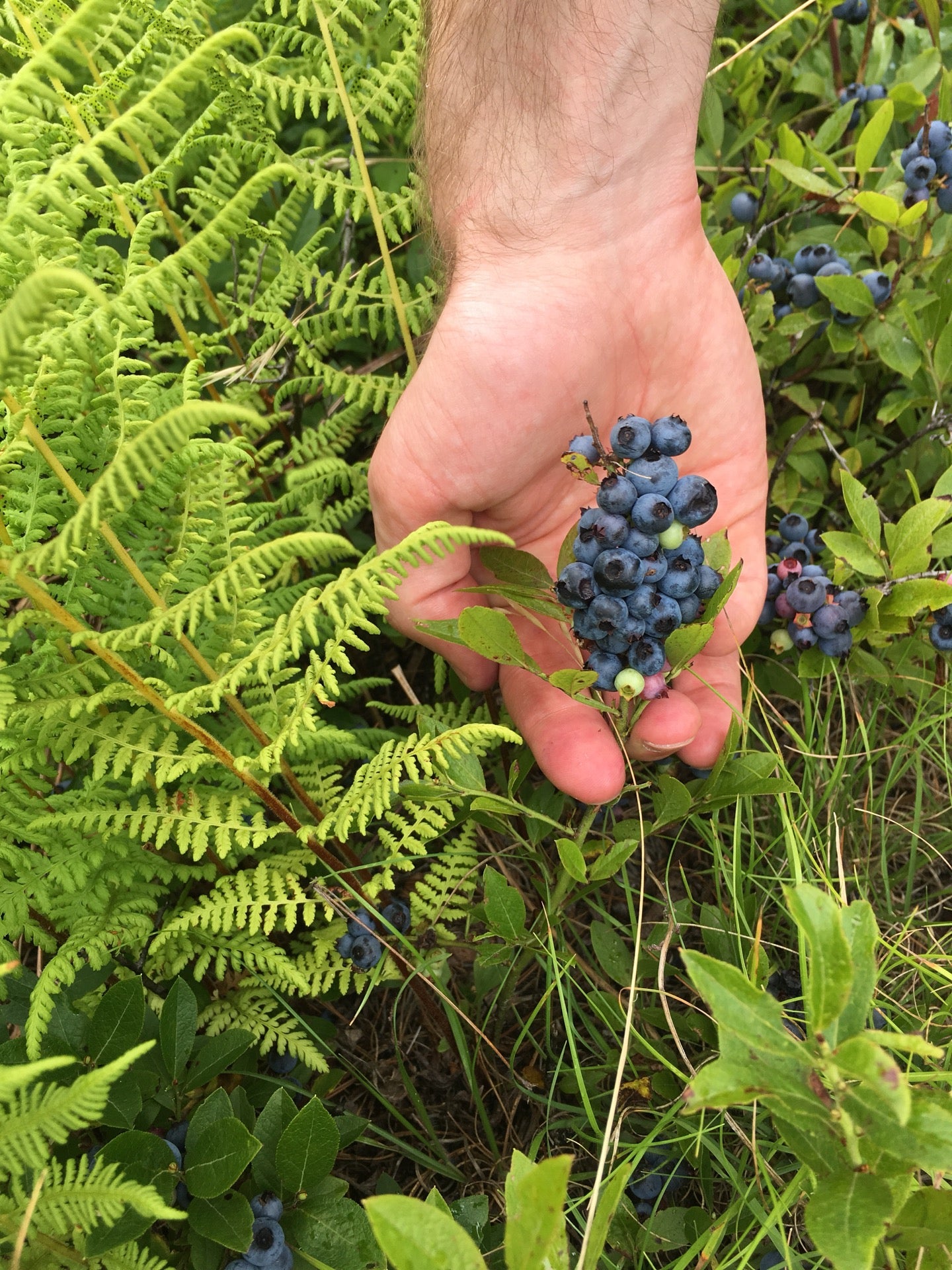 Rochester, VT Map & Directions MapQuest