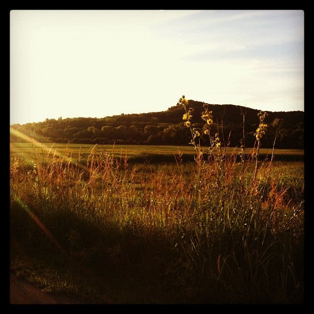 Rushford, MN Map & Directions MapQuest