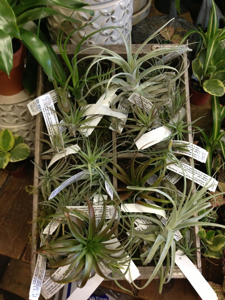 Prickley Pear Garden Centre