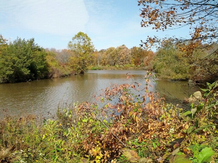 Lyons, NJ Map & Directions MapQuest