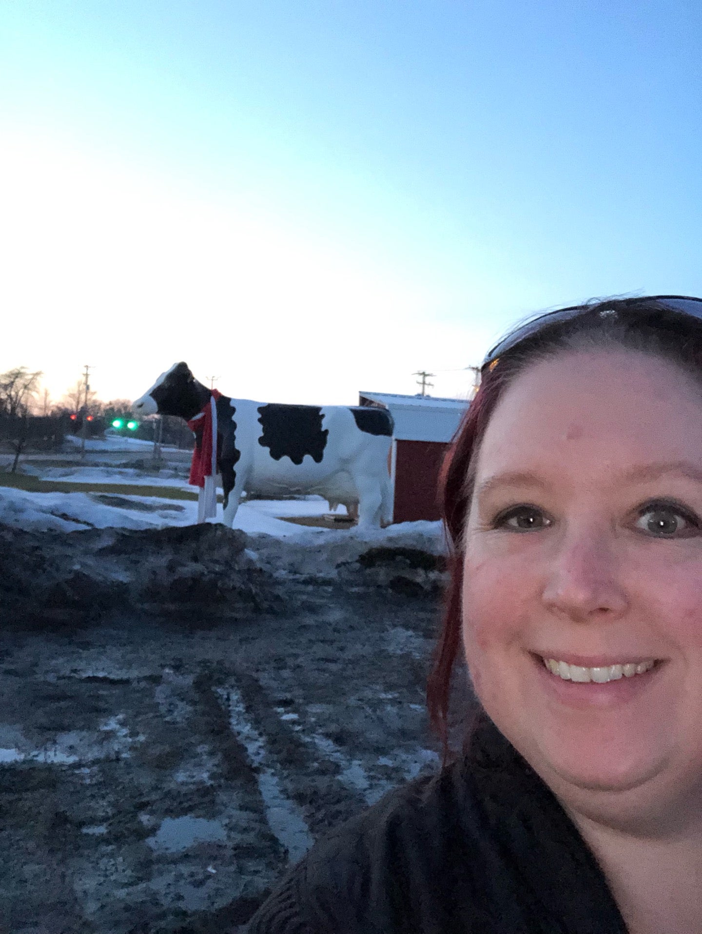 Lowville Producers Cheese Store, 7396 Utica Blvd, Lowville, NY, Cheese