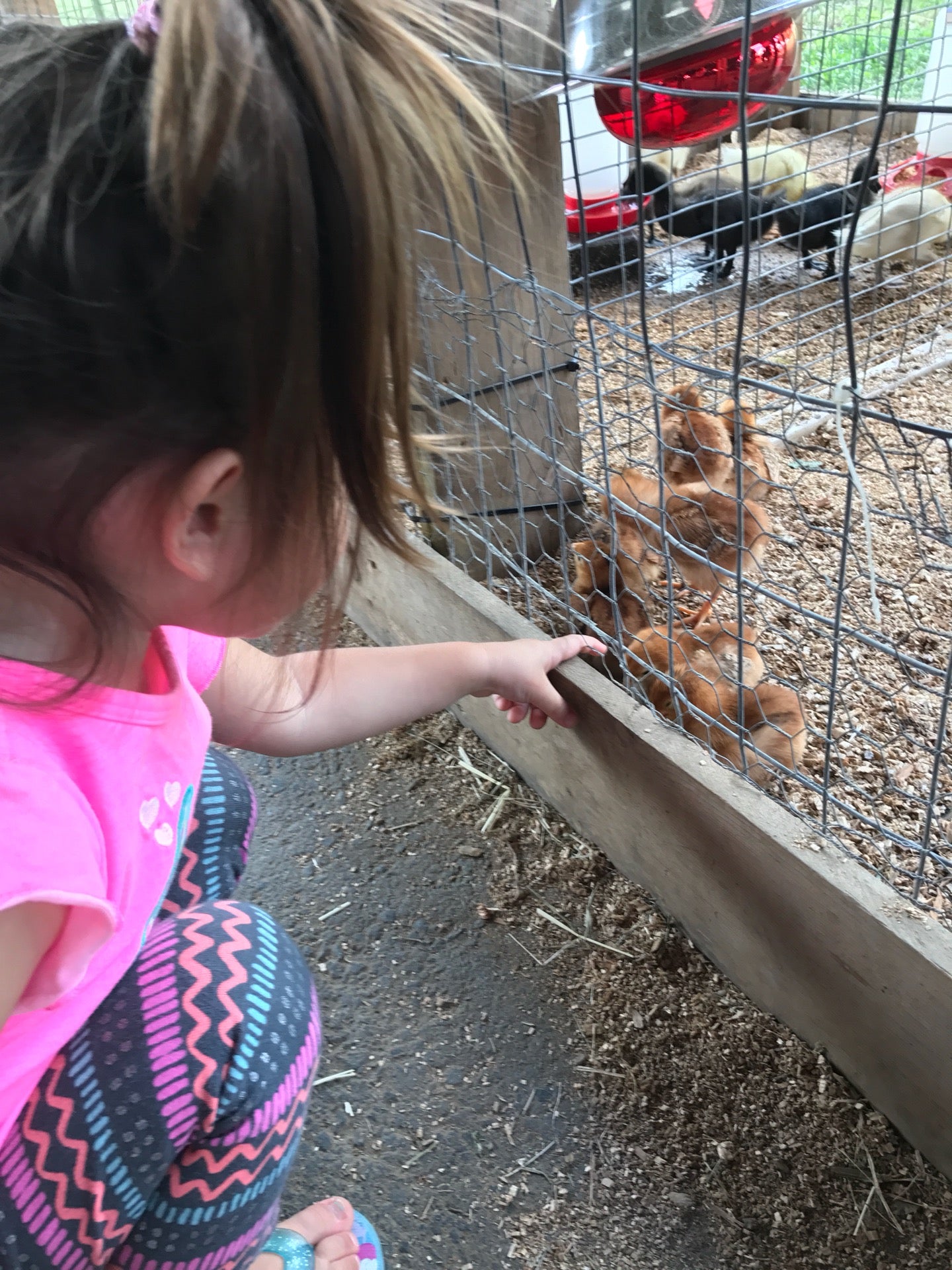 Harford County Equestrian Center, 608 Tollgate Rd, Bel Air, MD MapQuest