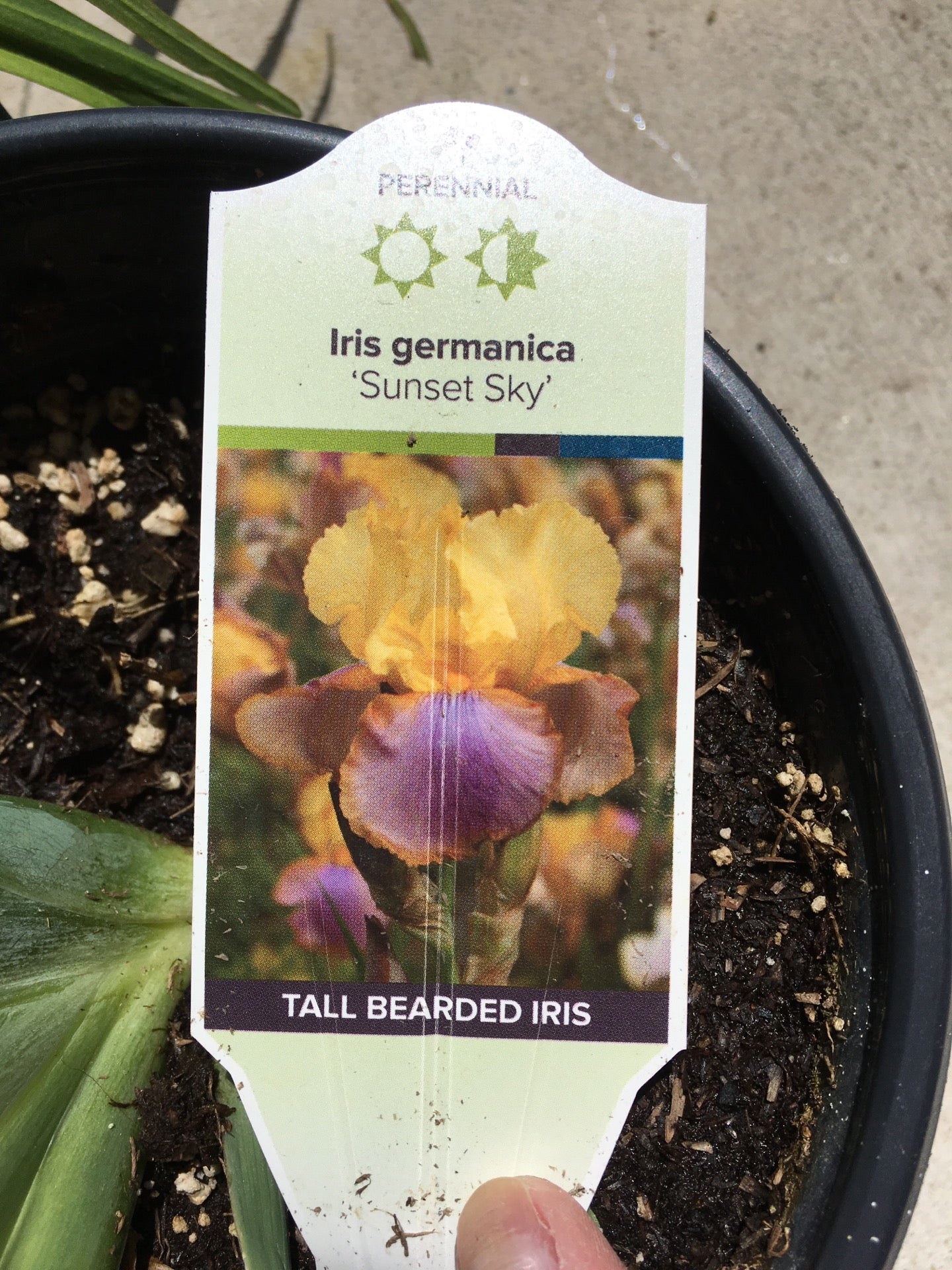 Hardware Hank, 211 E Broadway, Little Falls, MN, Home Centers MapQuest