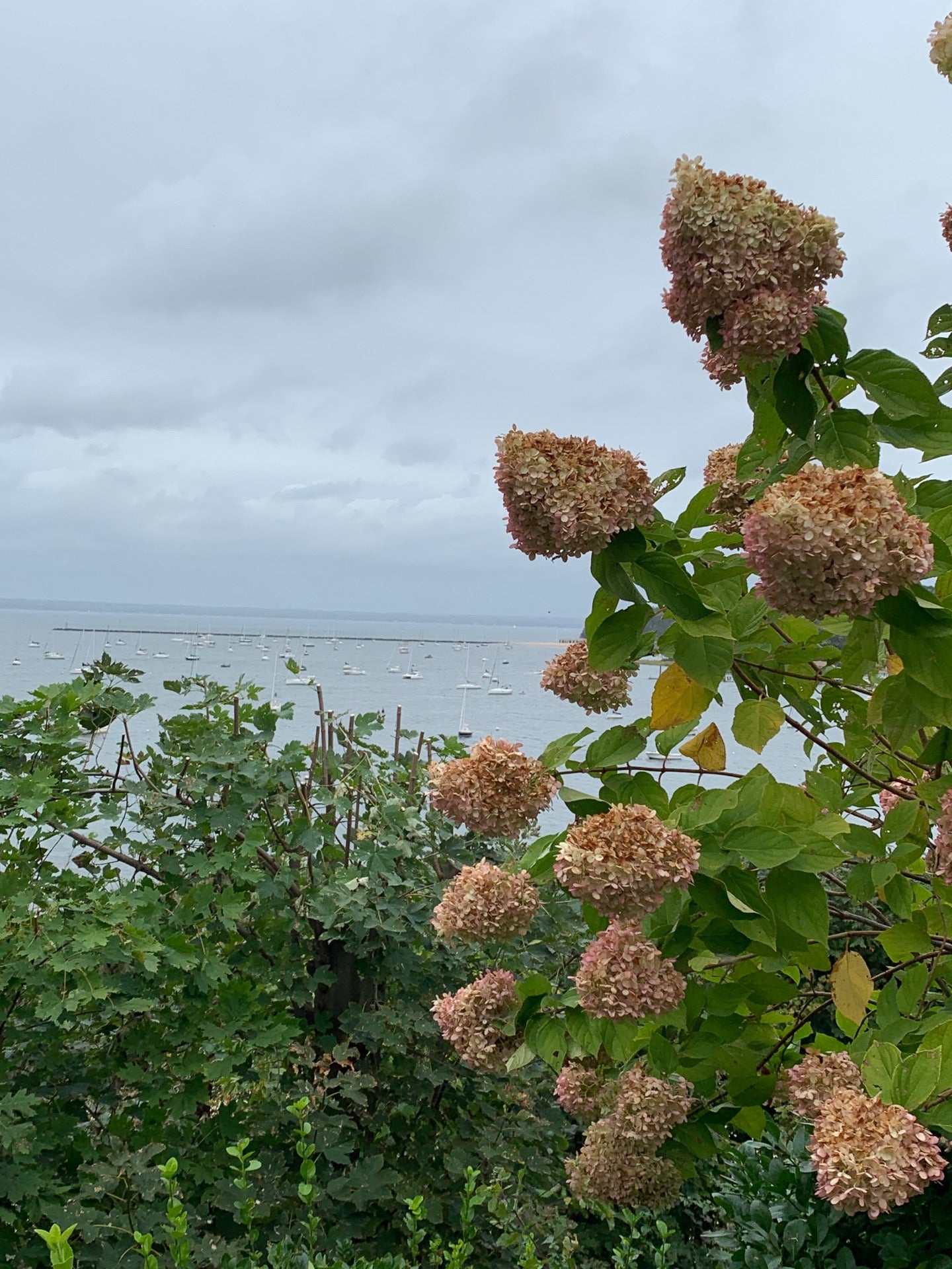 Sea Cliff, NY Map & Directions - MapQuest