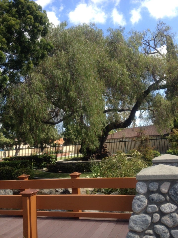 Cerritos Senior Center, 12340 South St, Artesia, CA, Bus Lines MapQuest