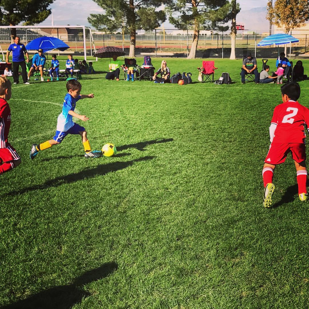 Bettye Wilson Soccer Complex, 7353 Eugene Ave, Las Vegas, NV, Landmark