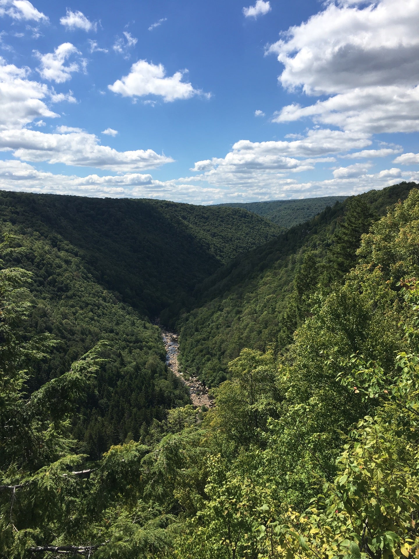 Pendleton Point Overlook, Blackwater Falls Rd, Davis, WV MapQuest