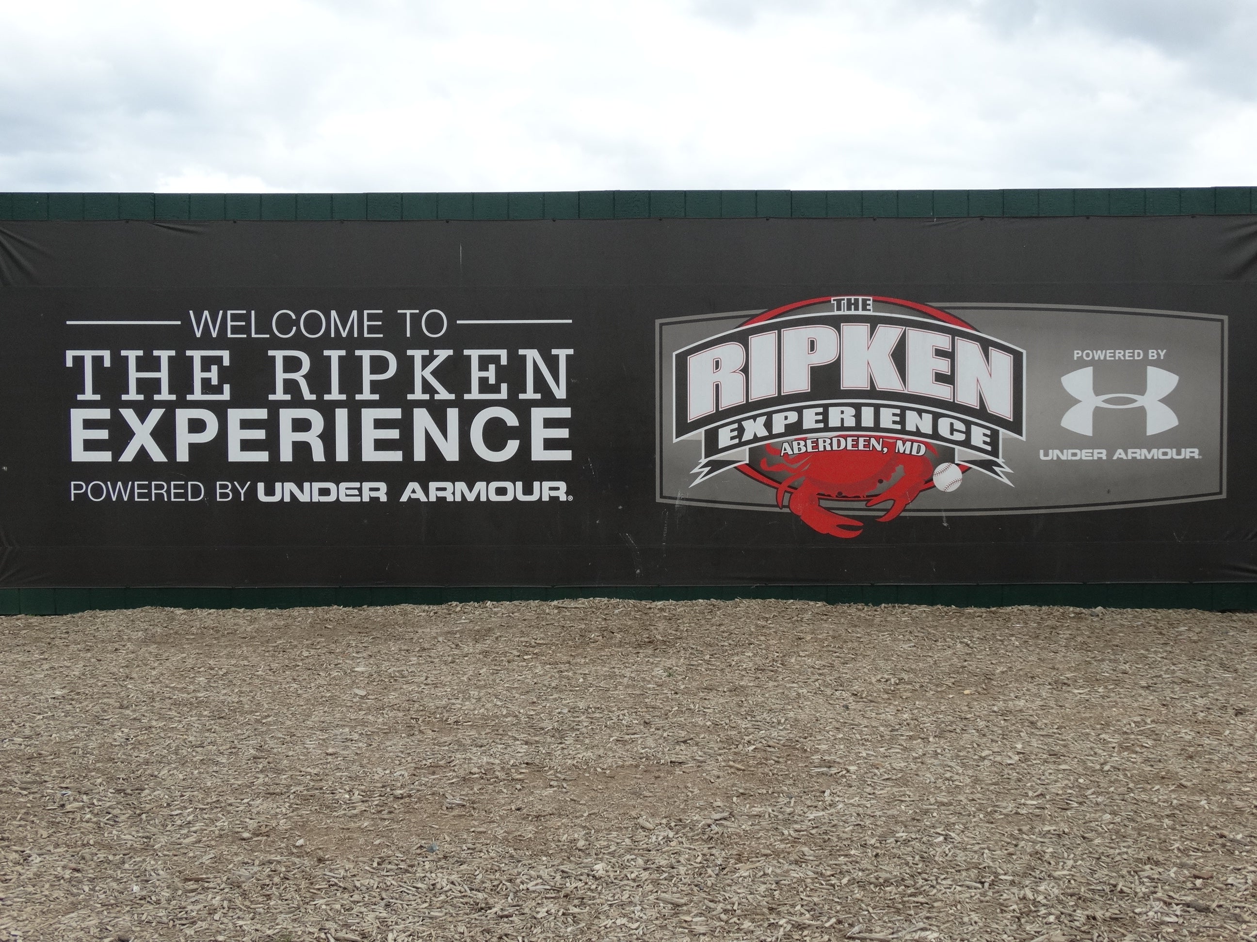 BBW RIPKEN S USA MD