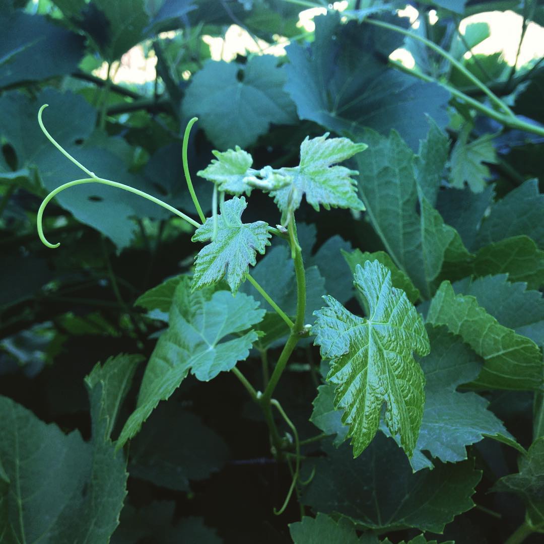 Paulden, AZ Map & Directions MapQuest