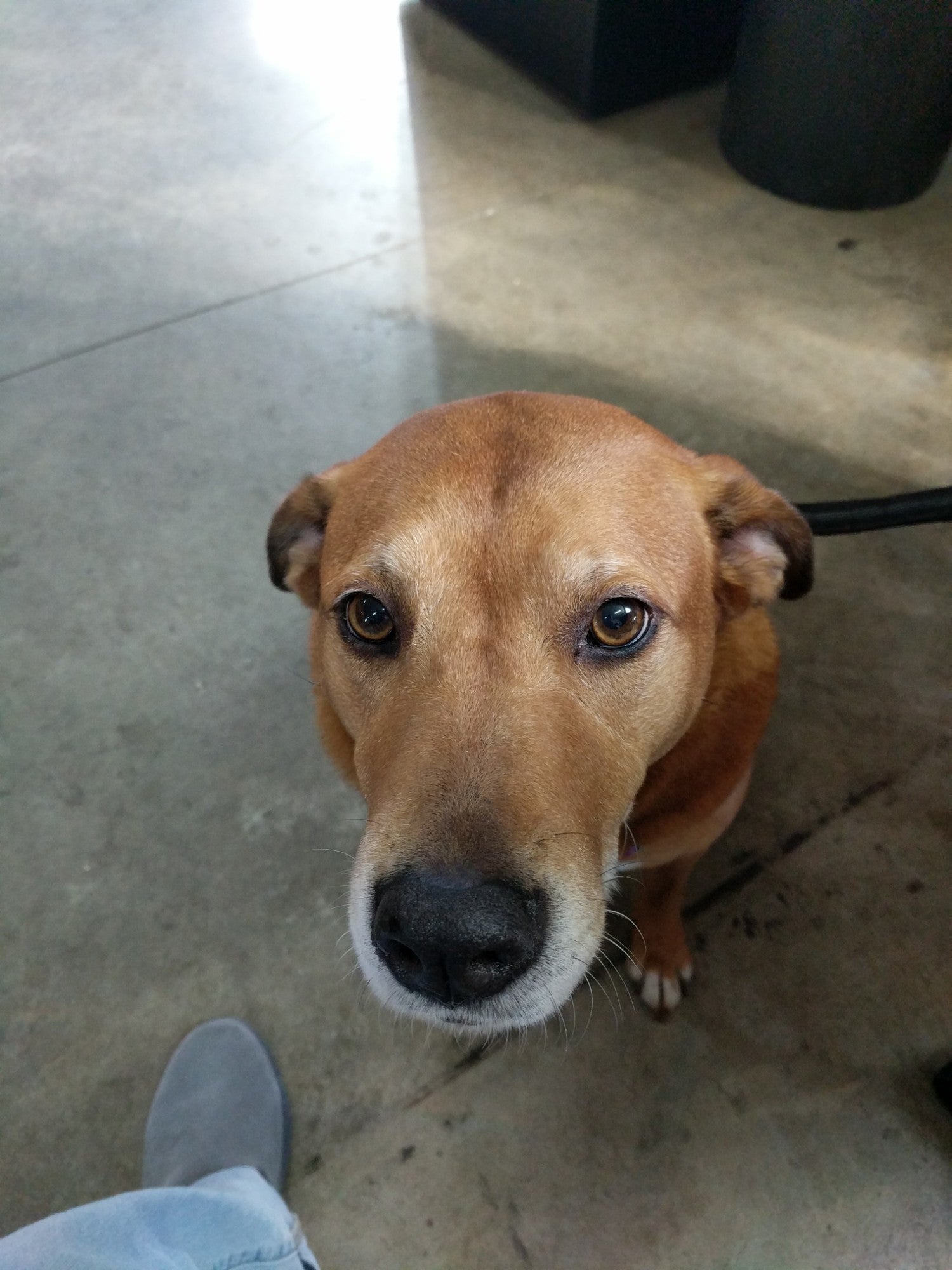 Marshville, NC Map & Directions MapQuest