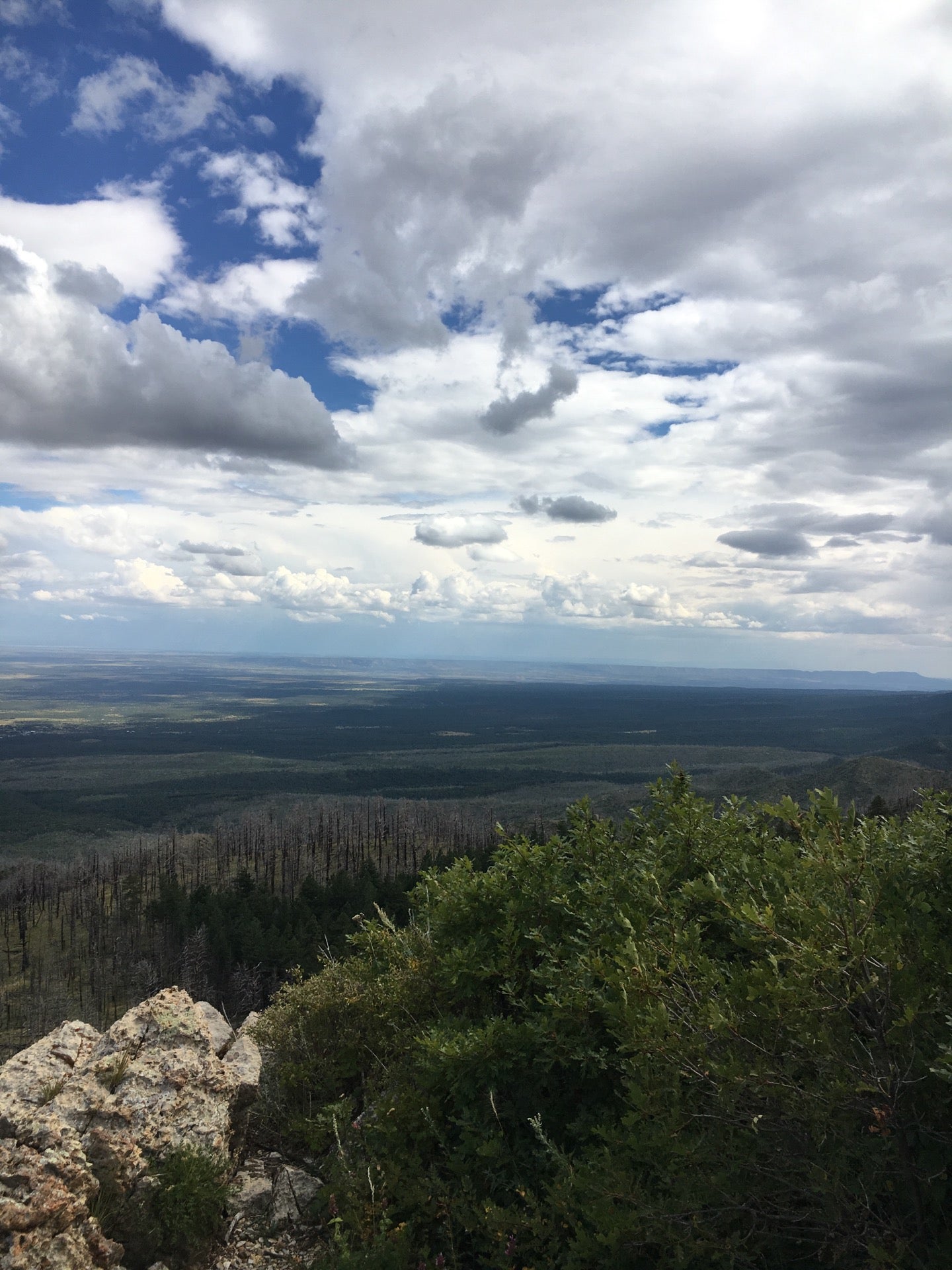 Estancia, NM Map & Directions MapQuest