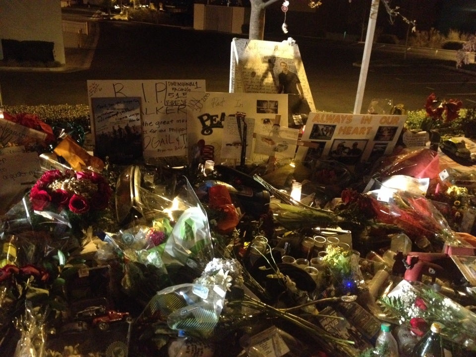 Tragic Fate of Fast and Furious Co-Stars: The Infamous Paul Walker and Roger Rodas Crash