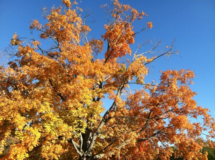 Accokeek, MD Map & Directions MapQuest