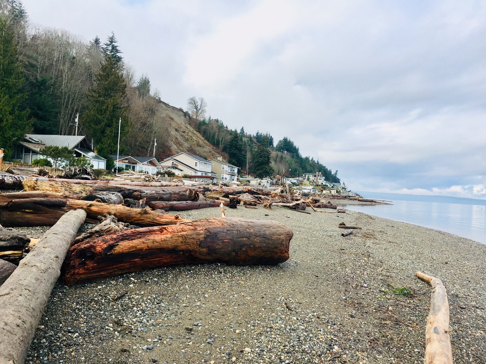 Exploring Tillicum Beach: The Hidden Gem of Island County Parks