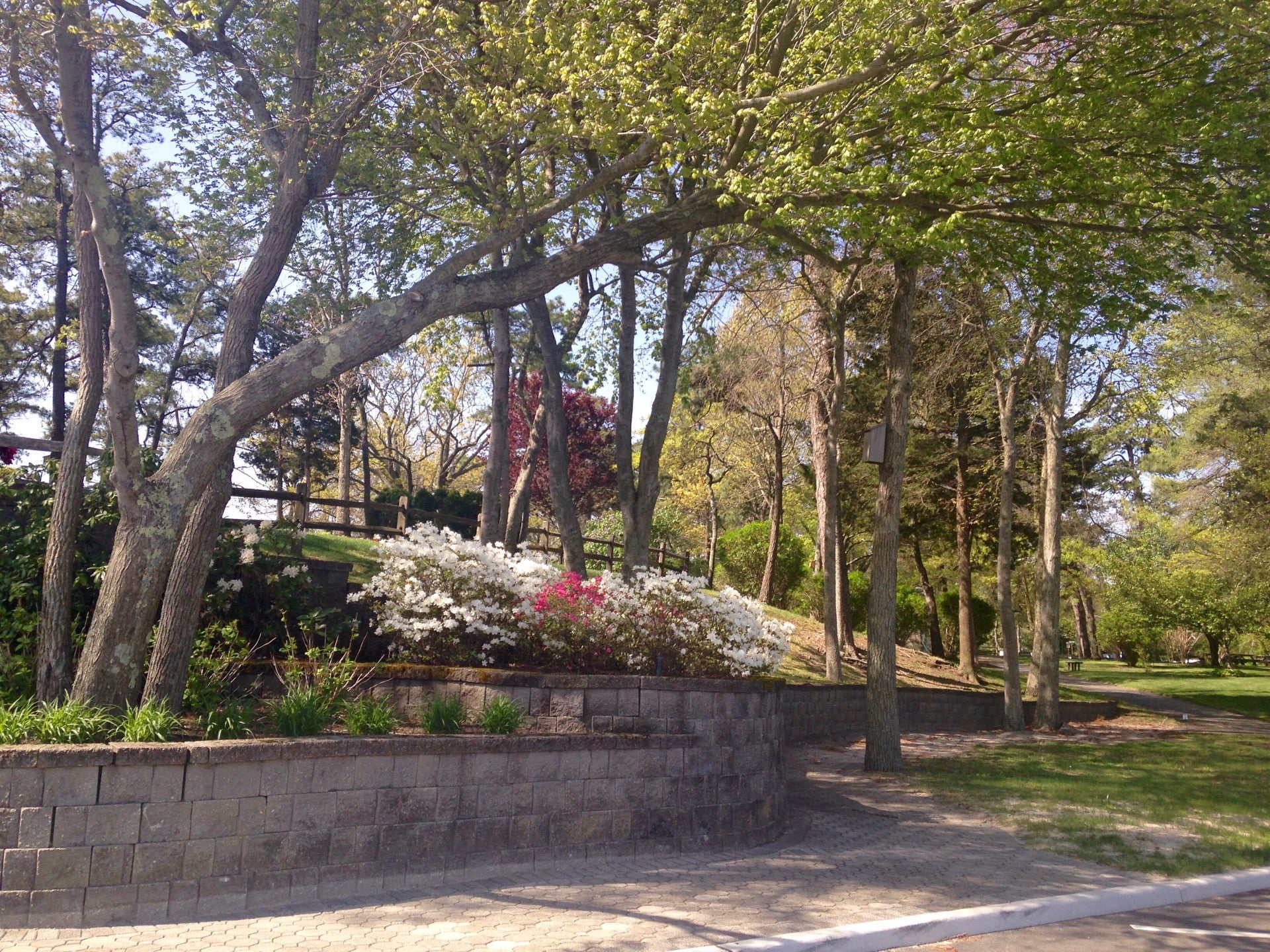 Mayo Park, Compass Ave, Beachwood, NJ, Parks MapQuest