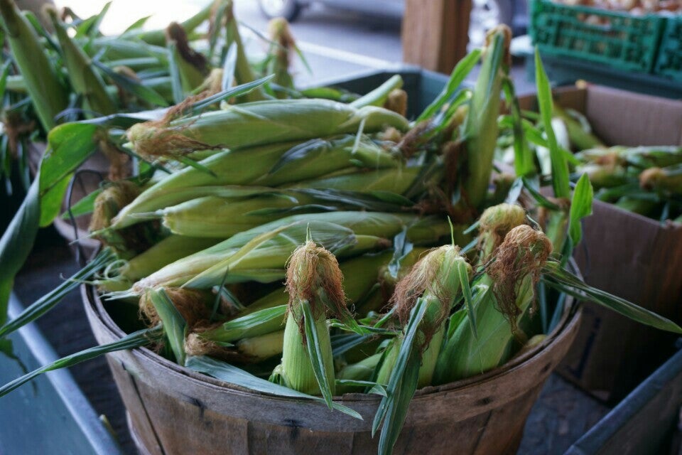 Johnson's Peaches, 1348 Tabernacle Church Rd, Candor, NC, Food Products