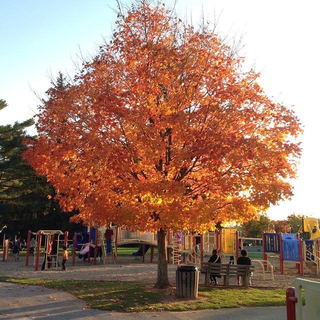 Glyndon, MD Map & Directions MapQuest