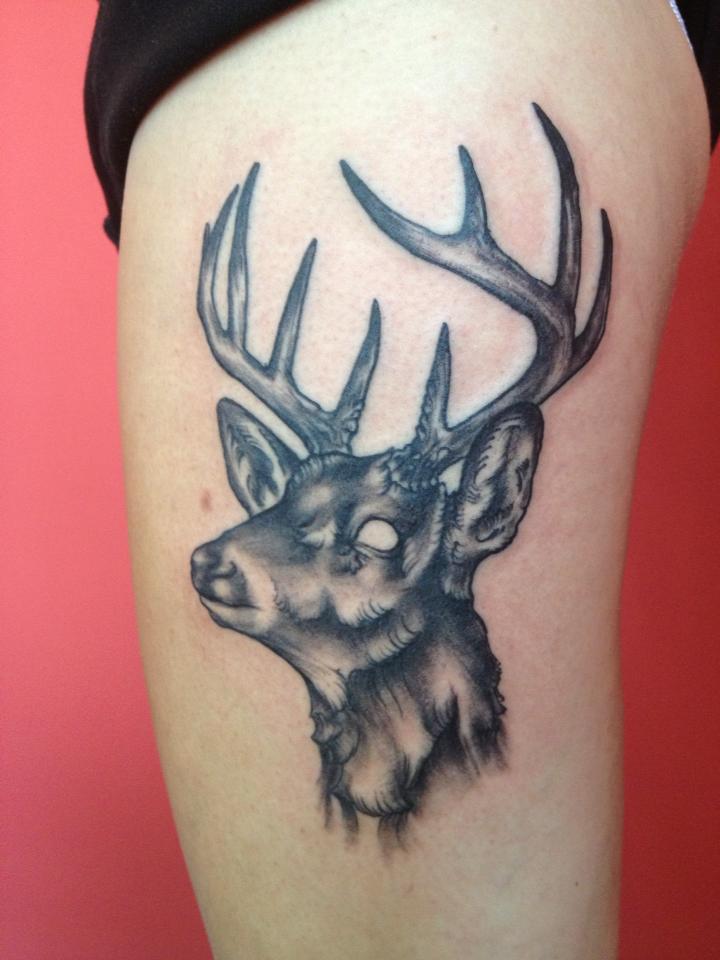 Jackalope Tattoo Symbolism Meanings  More