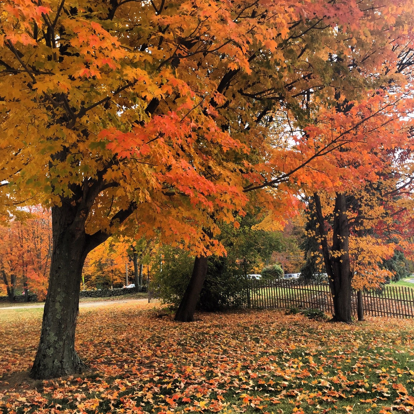 St Peter's Grace Episcopal Church, 175 Old Tannery Rd, Monroe, CT MapQuest