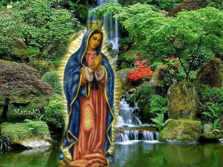 Jaw Scarsdale Park Apartments, 11810 Algonquin Dr, Houston, TX MapQuest