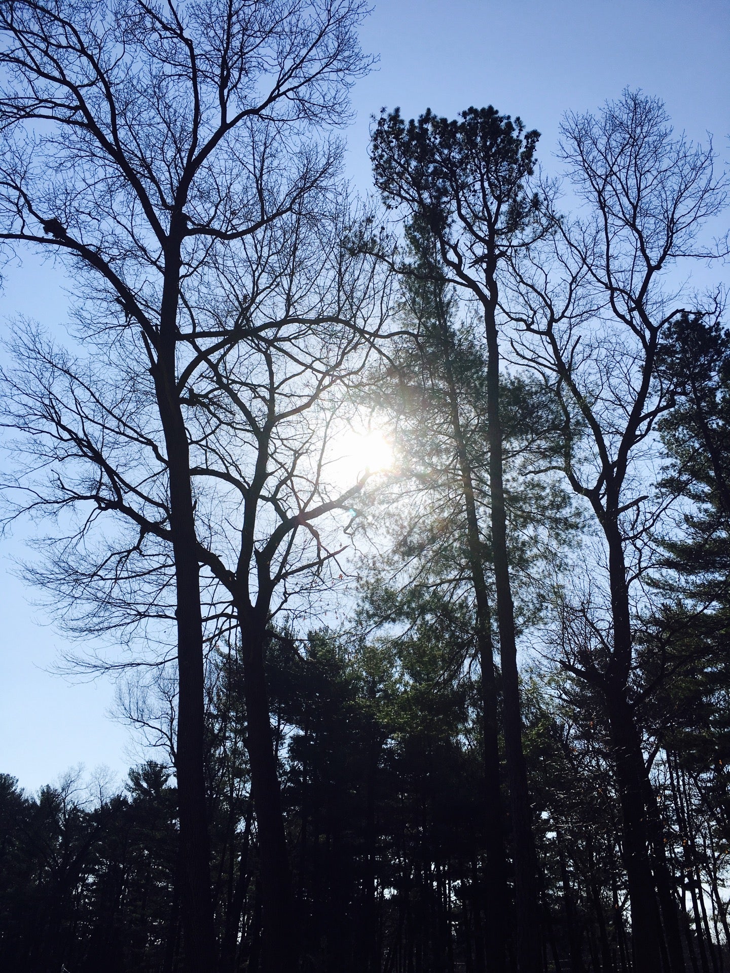 Brainerd Park, 137 Brainard Rd, 147, Enfield, CT MapQuest