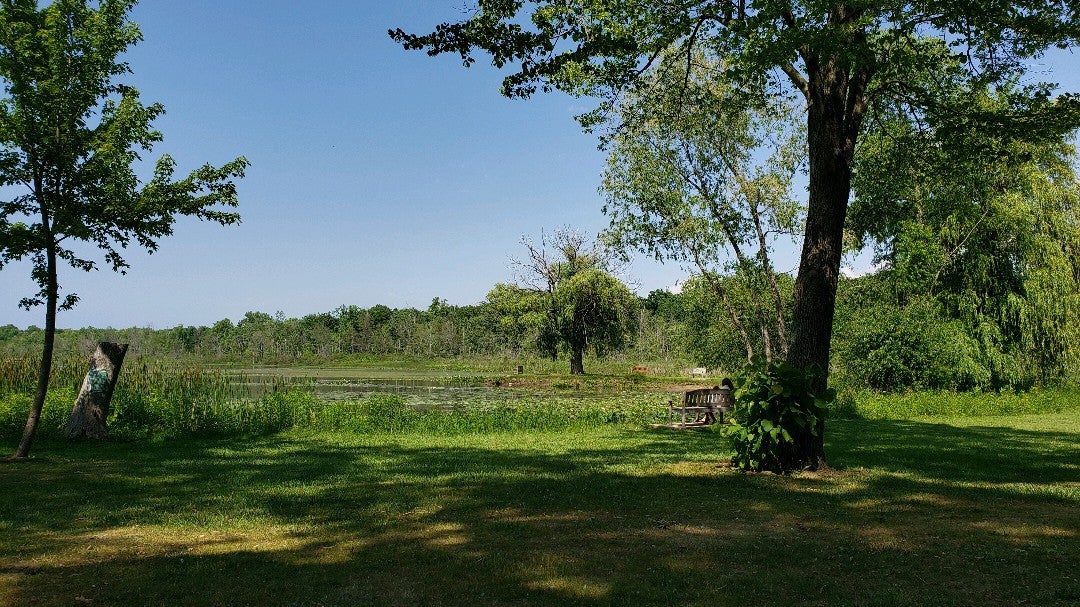 Stevensville, MI Map & Directions MapQuest