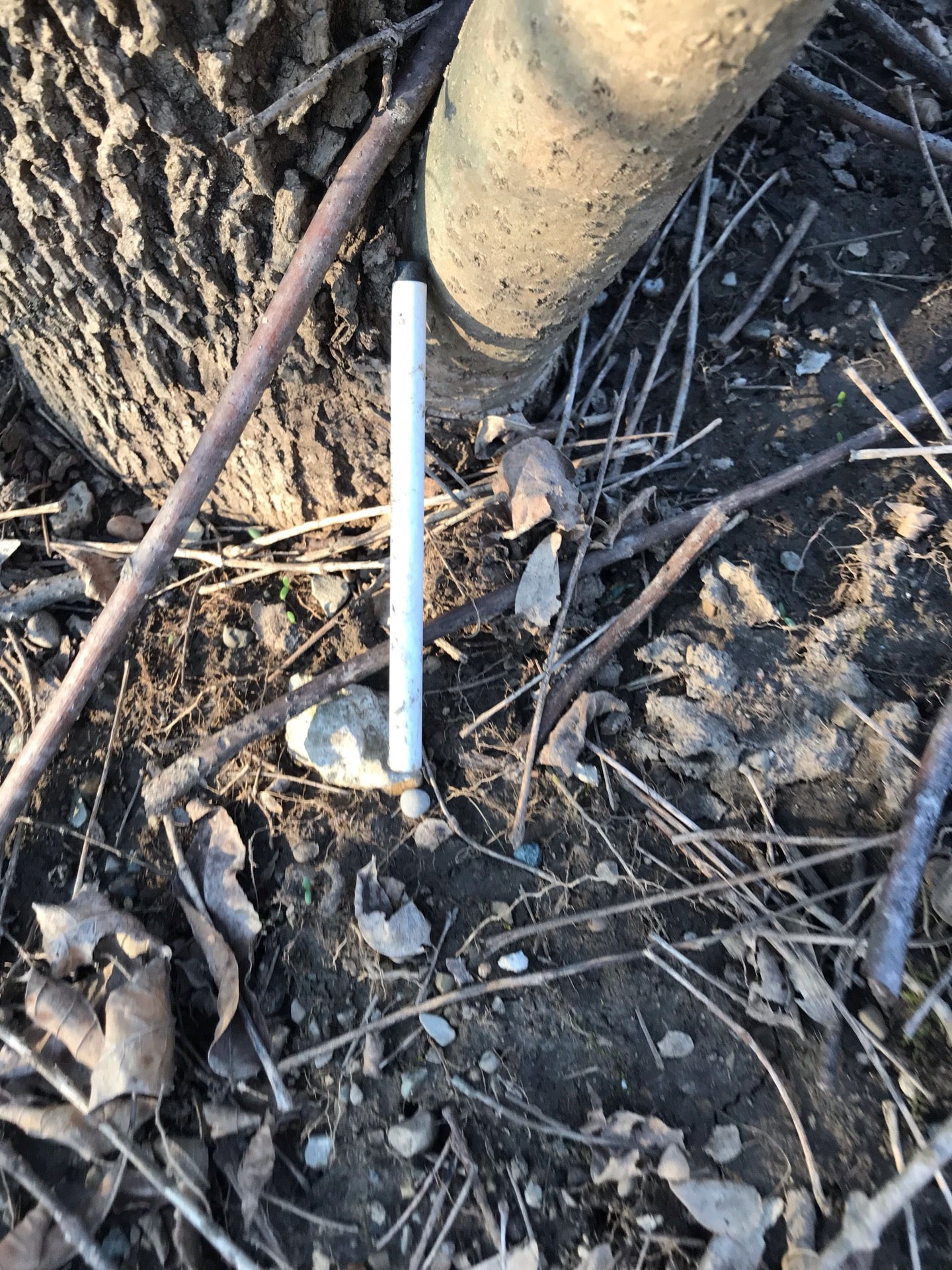 Daleville, IN Map & Directions MapQuest