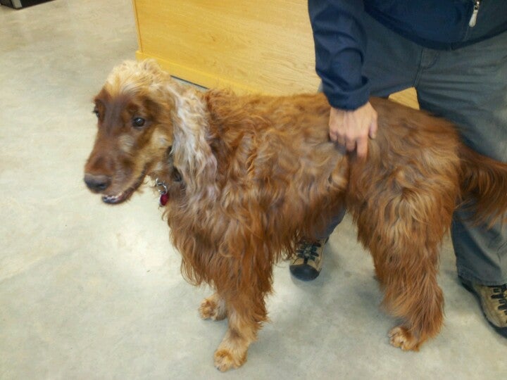 Findley Lake, NY Map & Directions MapQuest