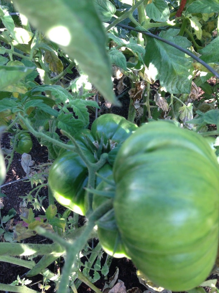 Park La Brea Cleaners, 401 S Burnside Ave, Los Angeles, CA, Dry Cleaners MapQuest