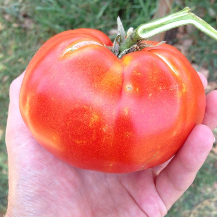 Park La Brea Cleaners, 401 S Burnside Ave, Los Angeles, CA, Dry Cleaners MapQuest