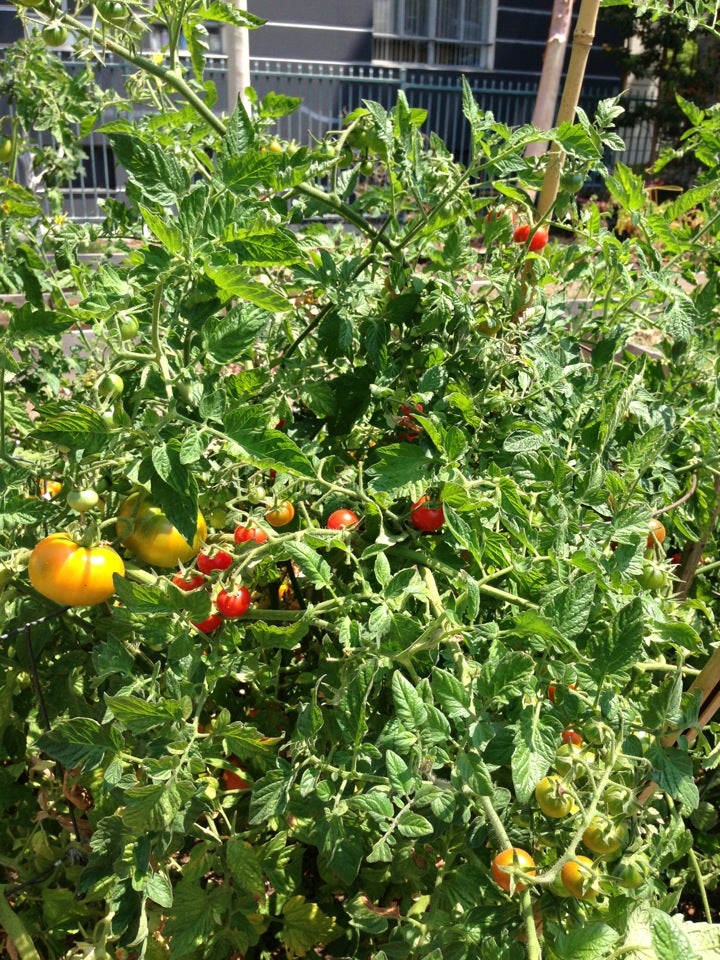 Park La Brea Cleaners, 401 S Burnside Ave, Los Angeles, CA, Dry Cleaners MapQuest