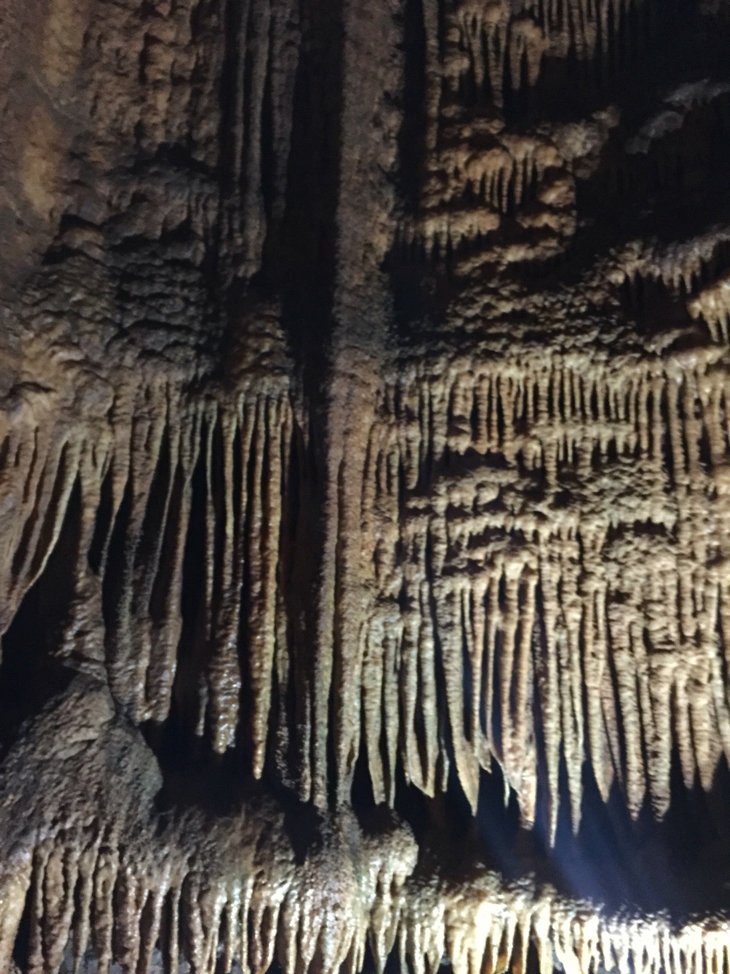 Horse Cave, KY Map & Directions MapQuest