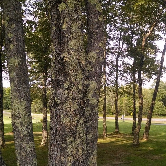 Tarry Brae Golf Course 387 Pleasant Valley Rd Fallsburg Town of New Tarry Brae Golf Course 387 Pleasant Valley Rd Fallsburg Town of New