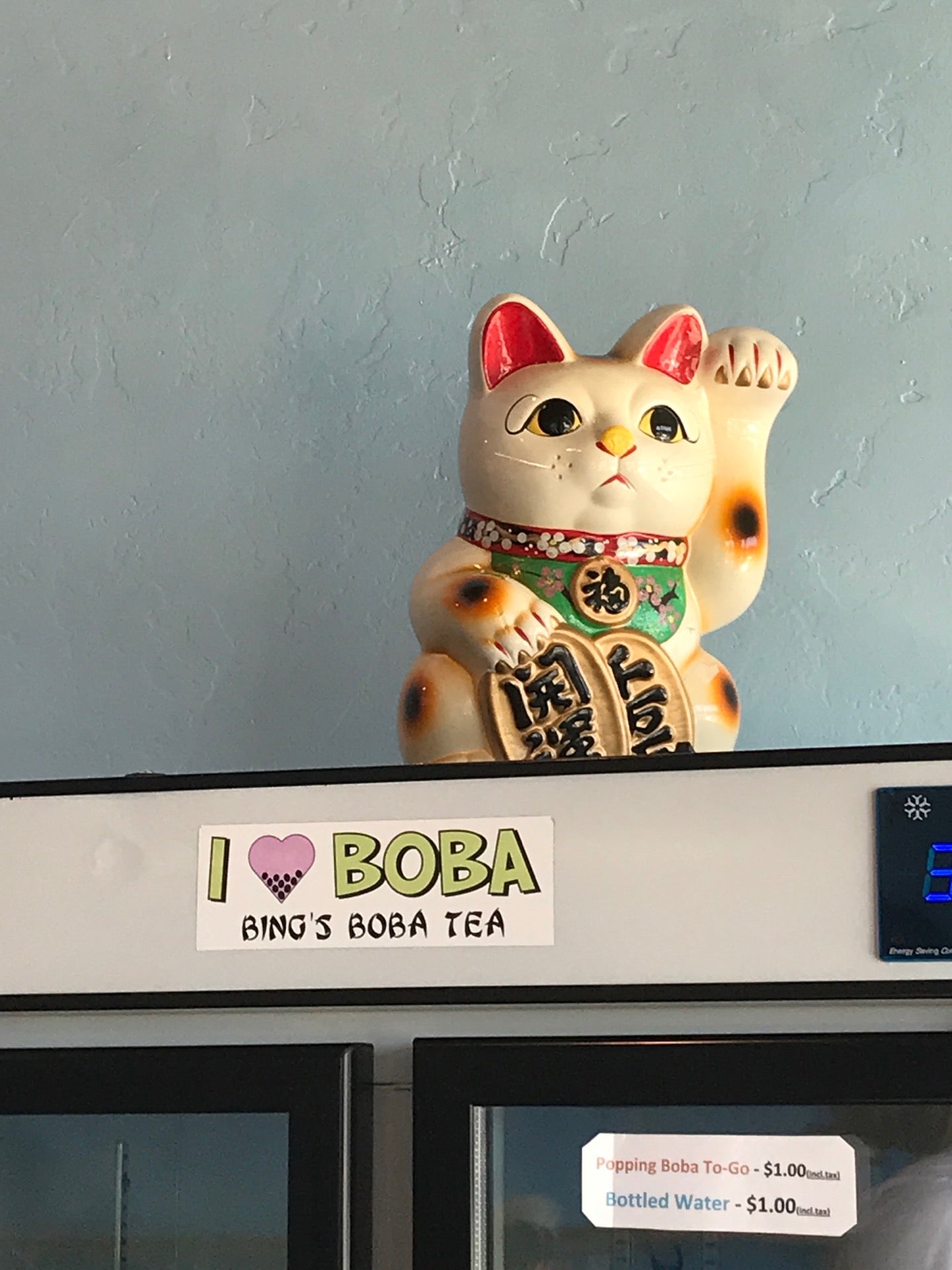 Boba Cat  Mylan (TX) – WE ARE 1976