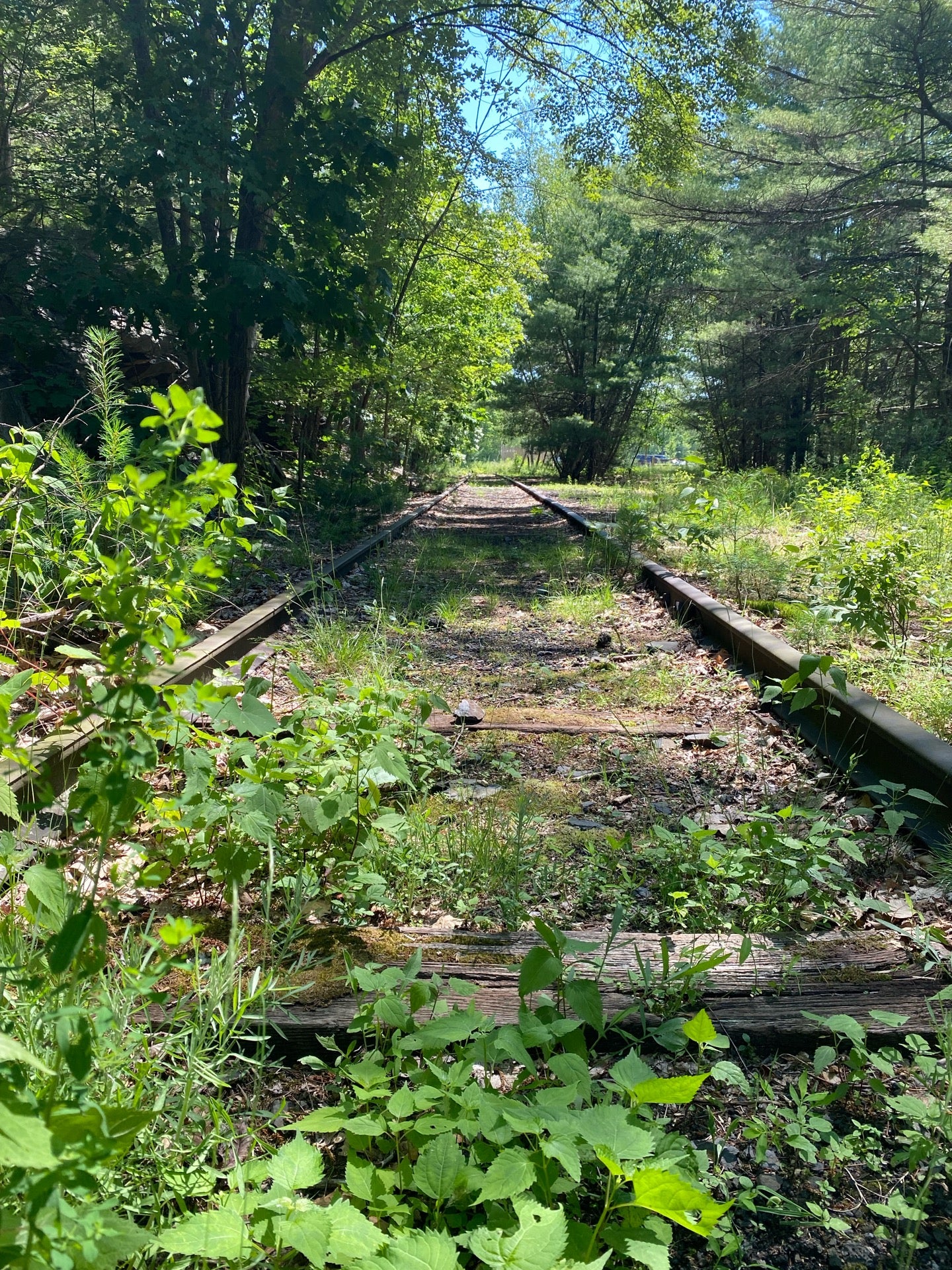 Ashokan Rail Trail, Shokan, NY, Trail MapQuest