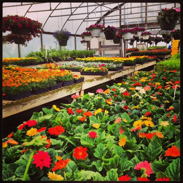 Greenhouse, Garden, and Landscaping Supplies – Knoxville Seed and Greenhouse  in Knoxville, TN