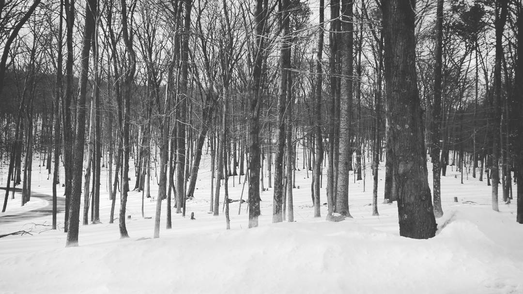 Cove Valley Christian Youth Camp, 5357 Little Cove Rd, Mercersburg, PA