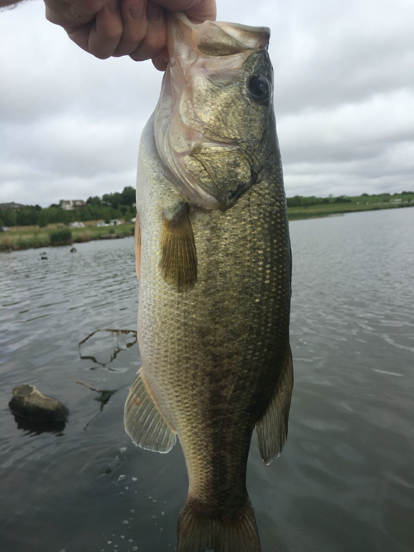 Lake Wanahoo State Recreation Area, 1655 County Road 16, Wahoo, NE ...