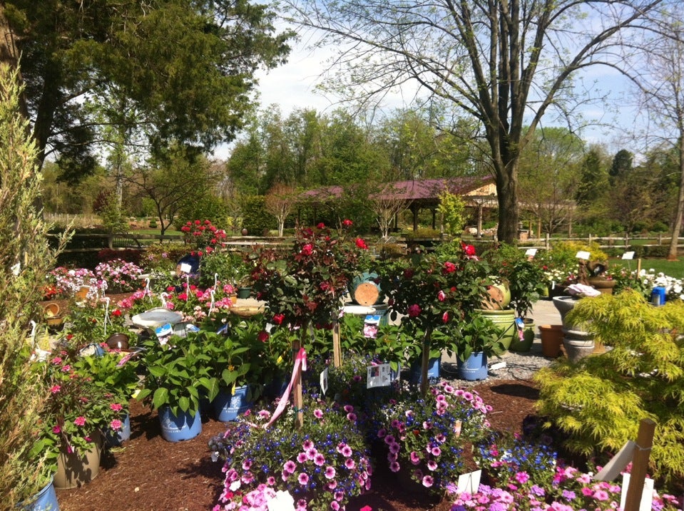 Haymarket, VA Map & Directions MapQuest