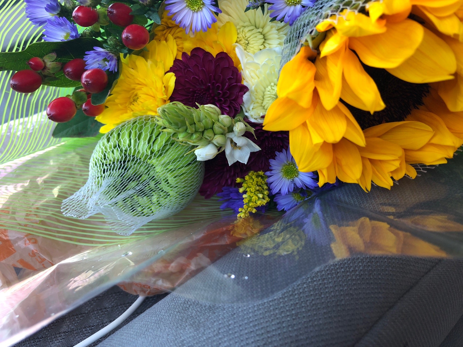 Produce Junction, 2 W Atlantic Ave, Clementon, NJ, Food Products Retail