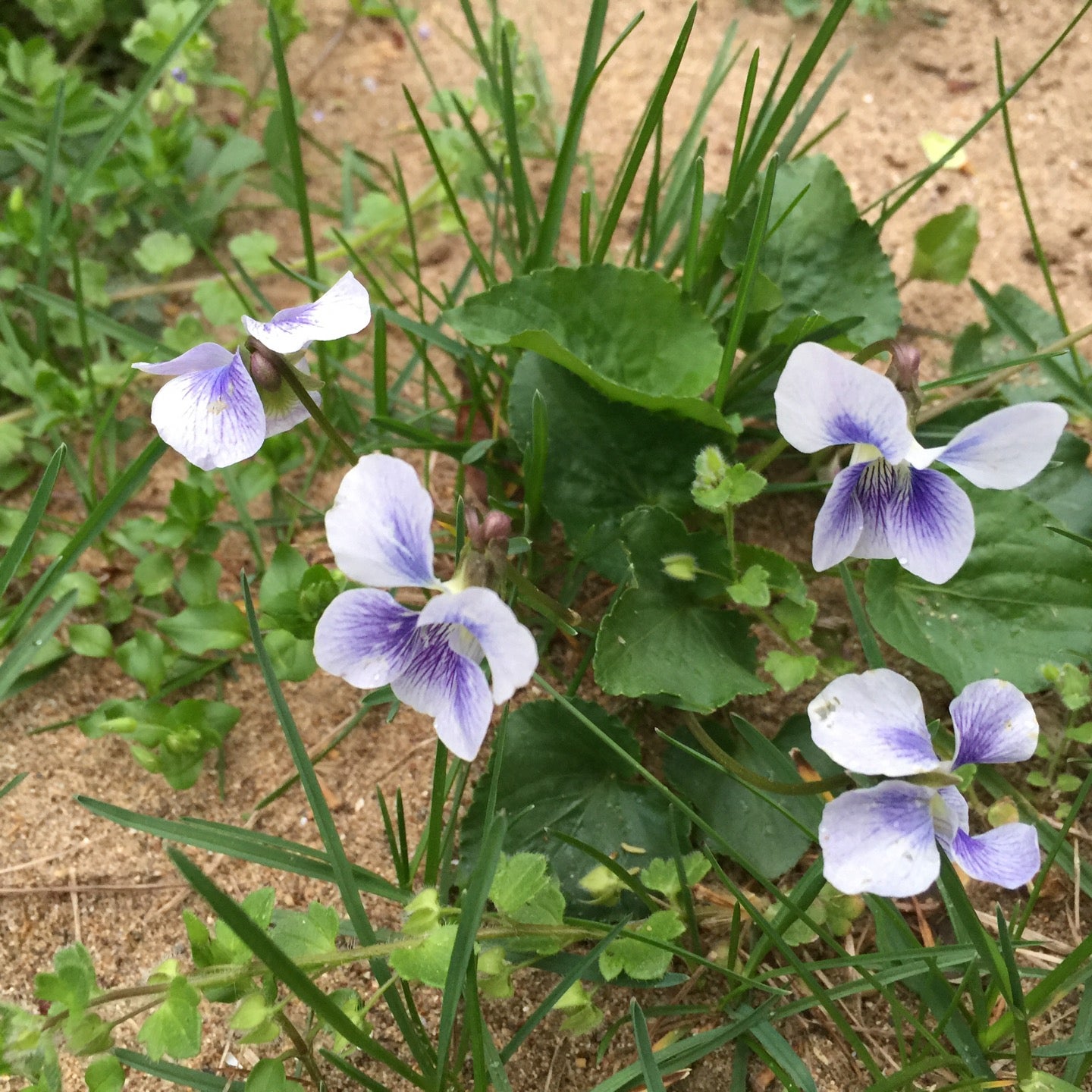 Roanoke River Green Way /Salem Park, Salem, VA MapQuest