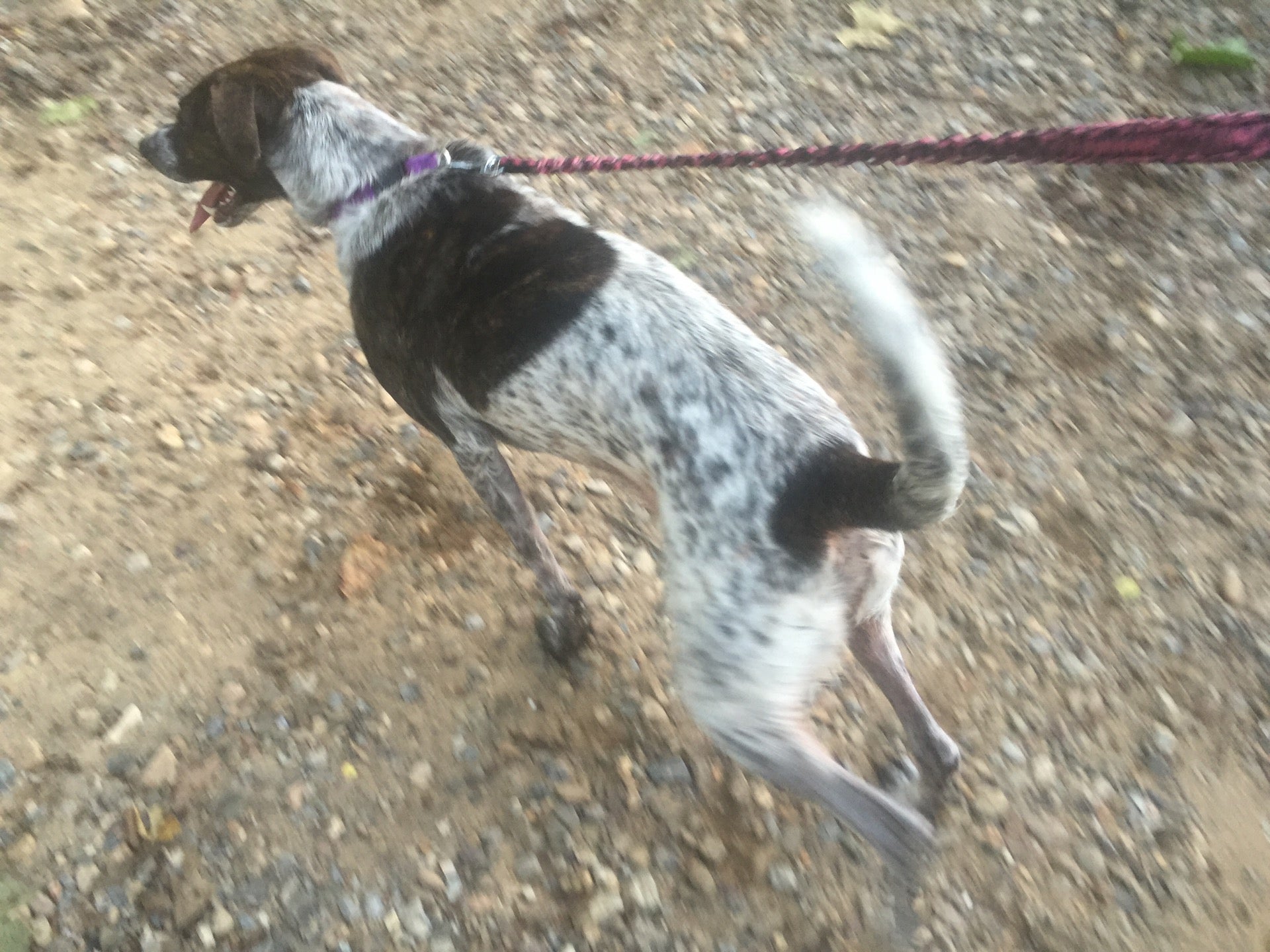 Roanoke River Green Way /Salem Park, Salem, VA MapQuest