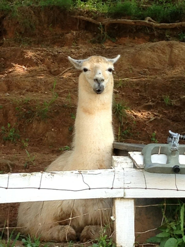 Caryville, TN Map & Directions MapQuest