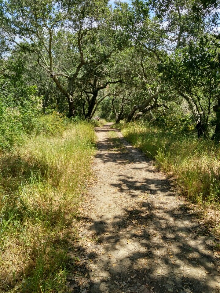 Montclair Railroad Trail, 6000 Shepherd Canyon Rd, Oakland, CA, Sports ...